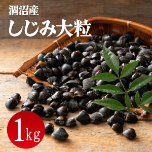 yӂ邳Ɣ[ŁzY Ⓚ 嗱 1kg(200g×5p)iVW~ 嗱 ڎd ς   X` ݂` 錧ziCA-1j