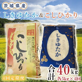 【ふるさと納税】【4ヶ月定期便】茨城県産しきゆたか＆こしひかり計40kg（10kg×4回）(令和5年度産)※離島配送不可（EN-31_1）