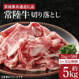 【ふるさと納税】【5ヶ月定期便】【常陸牛】切り落とし 約1kg【定期便】計5kg　総量約5kg【茨城県共通返礼品】（HI-11）
