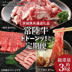 yӂ邳Ɣ[Łzy3ցz헤ǂǁ[Iƒ dʖ3kgy錧ʕԗiziHI-8j