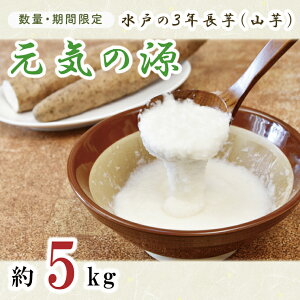 【ふるさと納税】【11月中旬より発送】【数量限定】水戸の3年長芋(元気の源)【ながいも 山芋 やまいも 野菜 やさい ムカゴ とろろ 茨城県 水戸市】(HD-1)