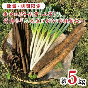 【ふるさと納税】【11月中旬より発送】【数量限定】水戸の3年長芋(山芋)&愛情ネギ&元気ゴボウの3種類セット【茨城県産 野菜 やさい 野菜セット 水戸野菜 ごぼう 牛蒡 ながいも やまい
