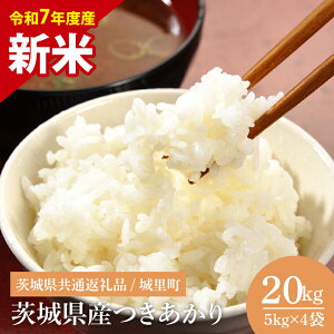 yӂ邳Ɣ[ŁzyIׂeʁzyʌzyߘa7Nx Vāz錧Y5E10E20kgi錧ʕԗi/闢jy  ɂ 傫 錧ziIH-1164j