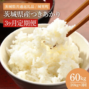 yӂ邳Ɣ[Łzyʌzyߘa7NxYVāzyIׂցz錧Yi錧ʕԗi/闢jiIH-1067j