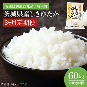 yӂ邳Ɣ[ŁzyIׂeʁzyʌzy3ցzyߘa7NxY Vāz錧Y䂽i錧ʕԗi/闢jiIH-1082j