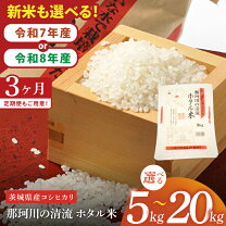 楽天市場】新米 茨城県 こしひかり（食品）の通販