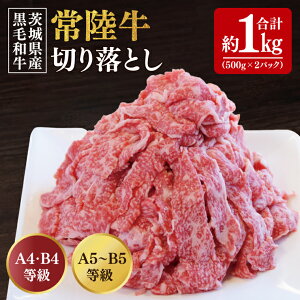 yӂ邳Ɣ[Łzyʌz헤؂藎Ƃ 1kgi500g×2pj ˎs  헤   Y  uh   XCXHiBG-20j