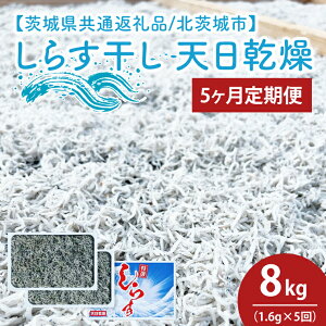 yӂ邳Ɣ[Łzy5ցz炷 V1.6kgi400g×4jy錧ʕԗi/ksz(HY-19)