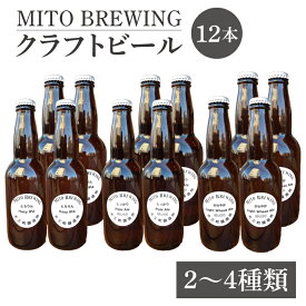 【ふるさと納税】クラフトビール12本詰め合わせ(GW-2)