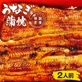 【ふるさと納税】蒲焼割烹 ぬりや うなぎ蒲焼（真空パック）2人前 鰻 ウナギ うなぎ 土用丑の日 土用 丑の日 かば焼き 蒲焼き 国産 うなぎ蒲焼 老舗 （GW-3）