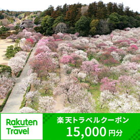 【ふるさと納税】 楽天トラベルクーポン 茨城県水戸市の対象施設で使える楽天トラベルクーポン 寄付額50,000円（BI-5）