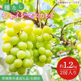 【ふるさと納税】【2026年9月より順次発送】シャインマスカット 約1.2kg（2房）（茨城県共通返礼品/石岡市）葡萄 ぶどう マスカット フルーツ 果物 くだもの 茨城県 水戸市(IT-14)