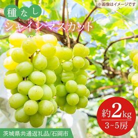 【ふるさと納税】【2026年9月より順次発送】シャインマスカット 約2kg（3〜5房）（茨城県共通返礼品/石岡市）葡萄 ぶどう マスカット フルーツ 果物 くだもの 茨城県 水戸市(IT-15)