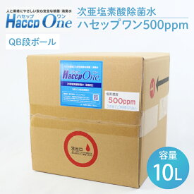 【ふるさと納税】次亜塩素酸除菌水 ハセップワン500ppm　10L【除菌 次亜塩素酸 安心 安全 ペット ウイルス除去 消臭 水戸市 茨城県】（JD-1）
