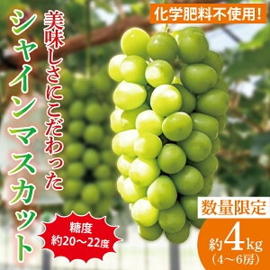 yӂ邳Ɣ[ŁzyIׂeʁzx20`22xIɂVC}XJbg 500g`4000g w엿sgp _ƒy Ԃǂ }XJbg t[c ʕ  