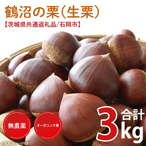 yӂ邳Ɣ[Łzys\zyIׂeʁzy2025N9{菇zΉsߏ̌IiIj1kg`3kgi錧ʕԗi/Ήsjy I _sgp I[KjbN I[KjbI