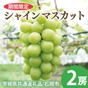yӂ邳Ɣ[Łzy2025N9ȍ~zys\zVC}XJbg2[y錧ʕԗi/Ήszy_ƒ ʕ  Â x lC t[c  Ԃǂ uhE }XJ
