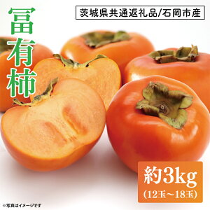 yӂ邳Ɣ[Łzy錧ʕԗi/ΉsYzy2025N11菇zyL` 3kg(12ʁ`18)y`  JL t[c ʕ W[V[ ˎs  錧ziLO-1j