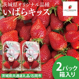 【ふるさと納税】【数量限定】【離島配送不可】いばらキッス 2パック/箱【茨城県共通返礼品/石岡市】【いちご イチゴ 苺 果物 くだもの フルーツ 茨城県オリジナル品種 茨城県】（LX-1）