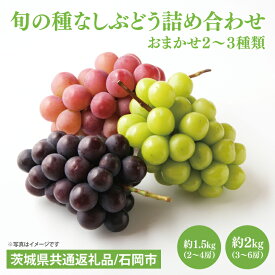 【ふるさと納税】選べる内容量 2026年8月下旬～9月下旬発送 旬の種なしぶどう詰め合わせ（茨城県共通返礼品/石岡市）ブドウ 巨峰 ビオーネ 伊豆錦 ゴルビー セット 安芸クイーン フルーツ 果物 くだもの 水戸市 水戸（MF-1）