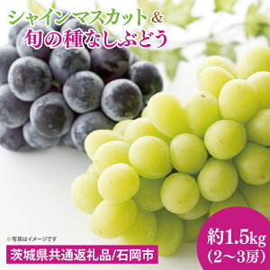 yӂ邳Ɣ[Łzys\zy2025N9{`10{zVC}XJbgƏ{̎ȂԂǂ@1.5kgi2`3[jy錧ʕԗi/ΉszyVC}XJbg uhE  rI
