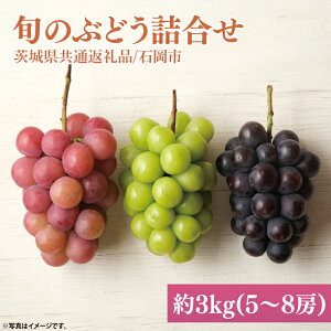 yӂ邳Ɣ[ŁzyIׂzy2025N9{菇zyʌz{̂Ԃǂl FƂǂy錧ʕԗi/Ήszy錧  VC}XJbg uhE Ԃǂ t[