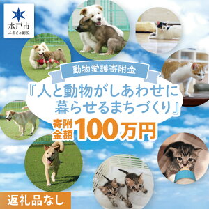 yӂ邳Ɣ[ŁzyԗiȂzyIׂ񕍋zzˎs 񕍋wlƓ킹ɕ点܂Âx3000~`1000000~yی  L ybg  x ˎsǂԂ