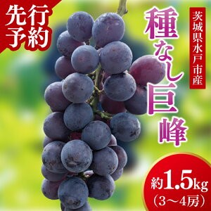 yӂ邳Ɣ[Łzy2025N9{菇zyʌzȂ 1.5Li3`4[jy錧  uhE Ԃǂ t[c ʕ  Z 킠 15000~ȓ 1ܐ~ȓziM