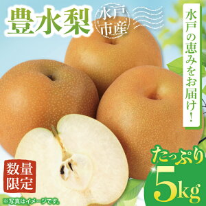 yӂ邳Ɣ[Łzy9{菇zyʌz˂̌b݂͂ L5kgy錧 ˎs ӂ邳Ɣ[ ʕ  t[c  iV Ȃ ̂ꂽ VN n ԌziNO
