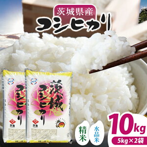 yӂ邳Ɣ[ŁzyʌzyIׂeʁzyߘa7NYz錧YRVqJ 5kg or 10kg y ͂ Ђ ɂ ͂ 錧 ˎsz(NQ-1)