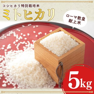 yӂ邳Ɣ[Łzyʌz[}c ߘa7NY~gqJiRVqJʍ͔|ājւ̔sw著s yV  ͂ Ђ 5L  錧Y 