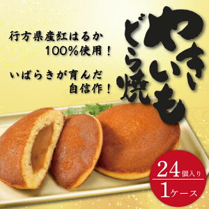 yӂ邳Ɣ[Łzs[^[oI 錧Y₫ǂĂig͂邩gpj 24 1P[Xyʔ  ǂĂ aَq  XC[c  َq fU[g yY ˎs