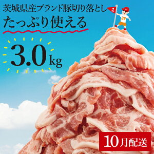 yӂ邳Ɣ[ŁzyIׂzzyʌzs[^[oI錧Yuhؐ؂藎Ƃ3kg (300g×10p)y ؓ ؂藎Ƃ  ^ ^pbN 錧Y  [X Ef 