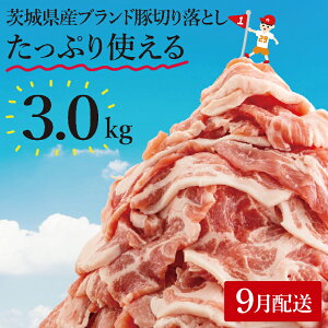 yӂ邳Ɣ[ŁzyIׂzzyʌzs[^[oI錧Yuhؐ؂藎Ƃ3kg (300g×10p)y ؓ ؂藎Ƃ  ^ ^pbN 錧Y  [X Ef 