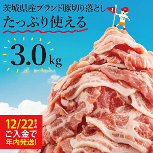 yӂ邳Ɣ[ŁzyIׂzzyʌzs[^[oI錧Yuhؐ؂藎Ƃ3kg (300g×10p)y ؓ ؂藎Ƃ  ^ ^pbN 錧Y  [X Ef 