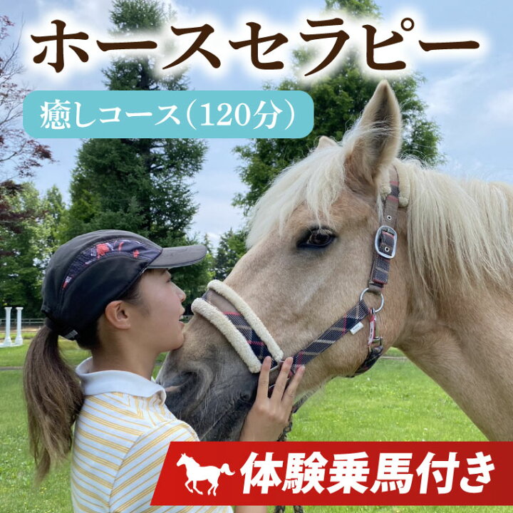 楽天市場】【ふるさと納税】ホースセラピー・癒しコース（120分 