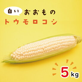 【ふるさと納税】【先行予約】【6月下旬ごろ発送】白いおおもの(トウモロコシ)5Kg（AY-6）