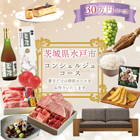 【ふるさと納税】【提案型】コンシェルジュコース（30万円）（GT-7）