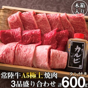 yӂ邳Ɣ[Łz 헤 A5 ɏē3i荇킹 v600g ؔ ^t 4~ hV̓ Mtg Zbg Hה T[C Jr ؂ ē  錧 ˁiDU-2j