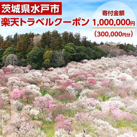 【ふるさと納税】 楽天トラベルクーポン 茨城県水戸市の対象施設で使える楽天トラベルクーポン 寄付額1,000,000円 ふるさと納税（BI-1）