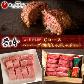 【ふるさと納税】3ヶ月 定期便 肉 常陸牛ハンバーグ 20個 Cコース 無添加 冷凍 焼き肉 焼肉 カルビ しゃぶしゃぶ ギフト セット 冷凍 人気 肉のイイジマ 茨城県（DU-105）