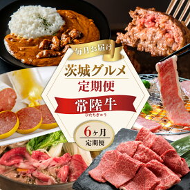 【ふるさと納税】6ヶ月 定期便 肉 常陸牛 Aコース ハンバーグ 焼肉 すき焼き レトルトカレー コンビーフ ギフト セット 食べ物ギフト対応 肉のイイジマ 黒毛和牛 茨城県 水戸市 肉のイイジマ（DU-107）