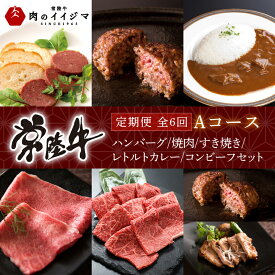 【ふるさと納税】【定期便 全6回】 肉 常陸牛 6ヶ月 定期便 Aコース ハンバーグ 焼肉 すき焼き レトルトカレー コンビーフ ギフト セット お中元 食べ物ギフト対応 【肉のイイジマ】 茨城県 水戸市（DU-107）