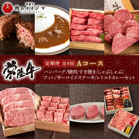 【ふるさと納税】【定期便 全8回】 常陸牛 8ヶ月 定期便 Aコース お中元 肉 ハンバーグ 焼肉 すき焼き しゃぶしゃぶ フィレ サーロイン ステーキ レトルト 常陸牛カレー ビーフカレー ギフト対応 【肉のイイジマ】（DU-114）