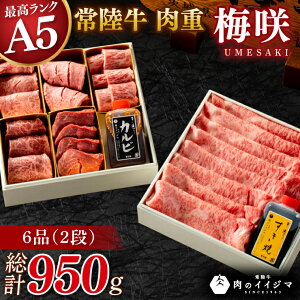 yӂ邳Ɣ[Łz헤A5d ~ -UMESAKI-ỹCCW}zq tB  ~~XW 蕨 hV̓ Mtg i diDU-149j