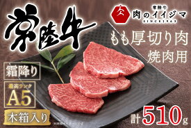 【ふるさと納税】肉 常陸牛A5 焼肉用 霜降りもも厚切り肉 510g ＜木箱入り・特製タレ付き＞ 敬老の日 プレゼント 誕生日 内祝い お礼 出産祝い 快気祝い 箱入り 熨斗 ギフト対応 茨城県 水戸市　30000円以下（DU-35）
