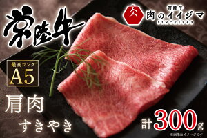 yӂ邳Ɣ[Łz 헤A5 Ă 300g  Y hV̓ j j MtgỹCCW}z 錧 ˎsiDU-48j