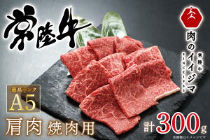 yӂ邳Ɣ[Łz 헤A5  ē 300g 1~ 10000~ v[g a  lΉ hV̓ MtgΉ j oY  C 錧 ˎs ỹCCW}ziDU-49j
