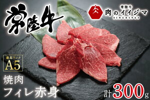 yӂ邳Ɣ[Łz  헤A5 ētBԐg 300g q јa v[g a j oY  MtgΉ ỹCCW}z 錧 ˎs iDU-54j