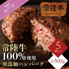 【ふるさと納税】常陸牛100% ハンバーグ 無添加 5個 セット ギフト お中元 食べ物 肉 10000円 手捏ね 焼くだけでレストランの味 冷凍 小分け ※離島への配送不可（北海道、沖縄本島は配送可能）（DU-6）